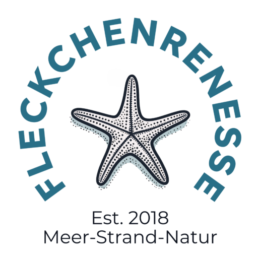 FleckchenRenesse_Logo